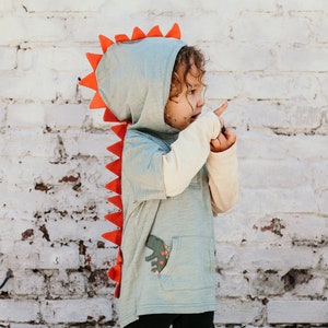 4t boys hoodie sale