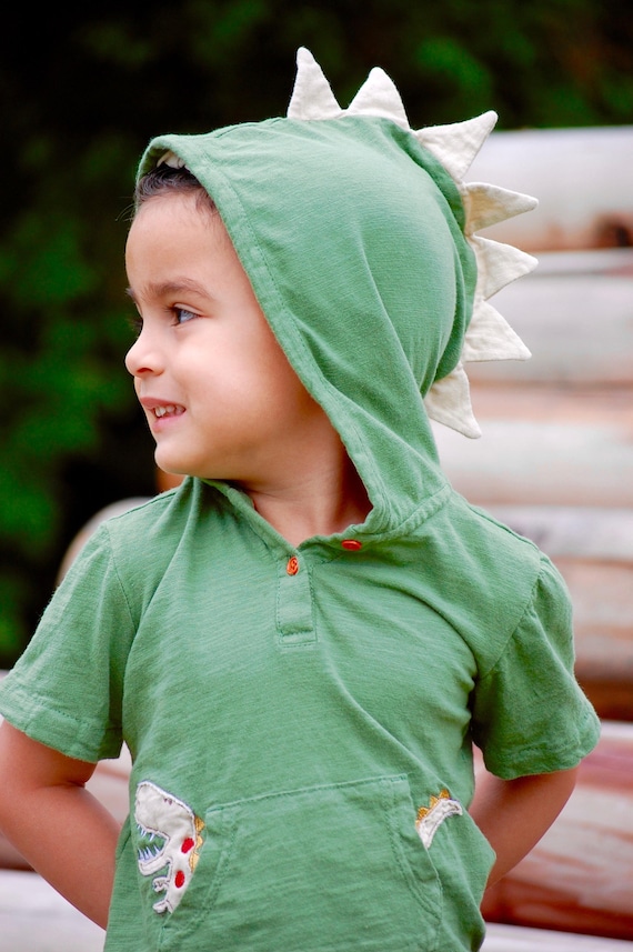 Sudadera dinosaurio niño hotsell