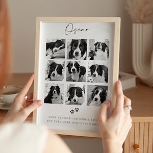 Dog Photo Collage Print Memory Loss Love Family Pet Lover Cat Personalised Print A4 A3 Remember In Memory Personal Unique Gift Wall  Home