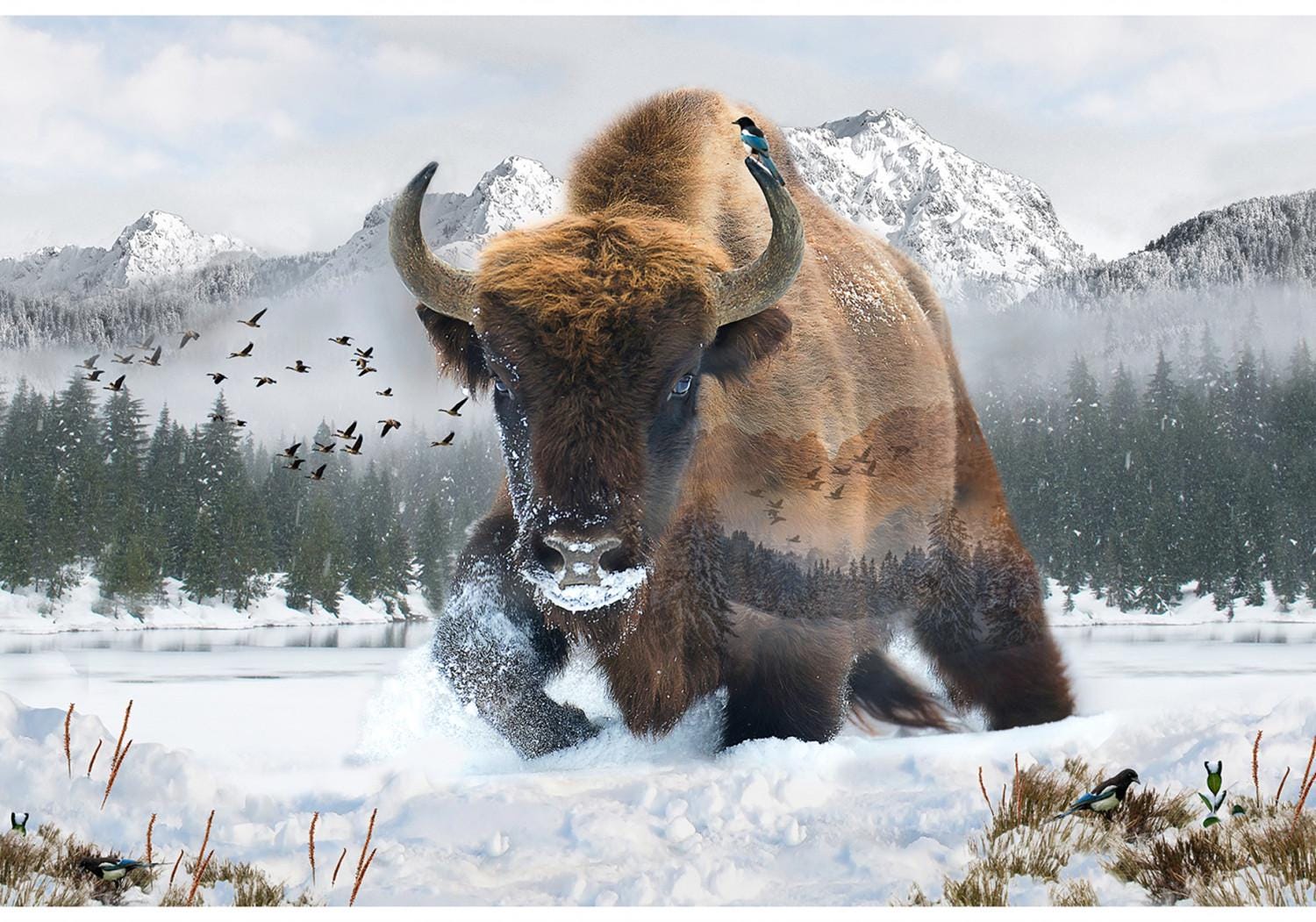 New Digital BISON BUFFALO Call of the WILD in the Field on 100% Cotton ...