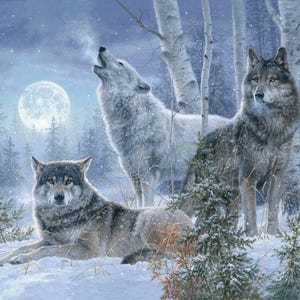 May include: A winter scene featuring three wolves in a snowy forest under a full moon. One wolf howls, while the other two stand and lie in the snow. The artwork has a soft, painterly style with a focus on the animals and the winter landscape.