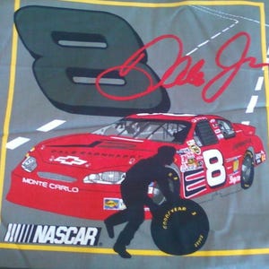 Dale Earnhardt Rug - Etsy