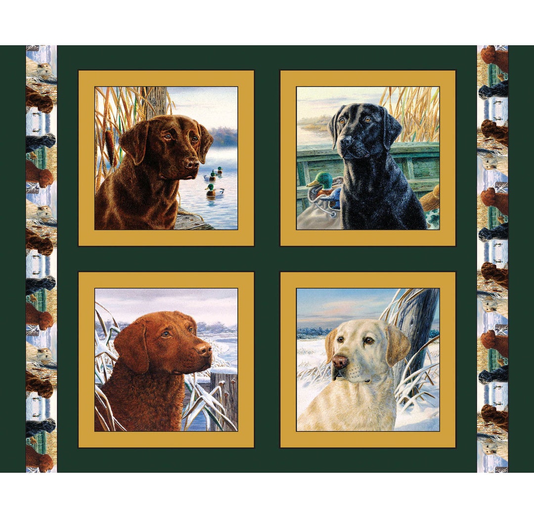 New DOGS LABRADOR RETRIEVERS Golden Chocolate Black Brindle Labs on ...