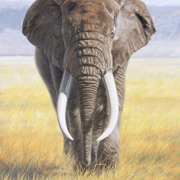 New Large MAGESTIC African ELEPHANT on Safari Buck on 100% Cotton Panel for quilts, crafts, wall hanging style #2