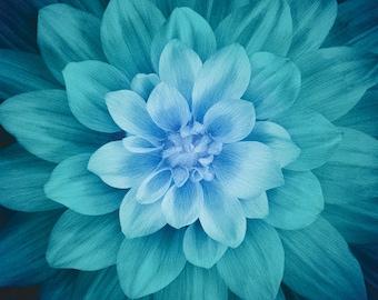New LARGE TEAL DAHLIA Digital Panel 100% Cotton Panel for quilts, crafts, wall hanging  - 43"X43"" Quilt Top by Hoffman Fabrics