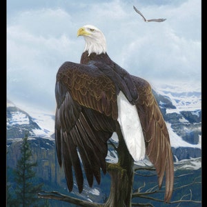 New Large AMERICAN BALD EAGLE Wings of Pride on 100% Cotton Panel for quilts, crafts, wall hanging style #7