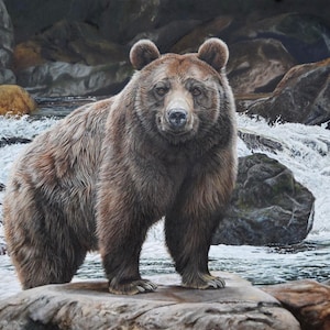 New Large GRIZZLY BEAR Brown Black Majestic in Nature NO Fish Today on this 100% Cotton Panel for quilts, crafts, wall hanging #01