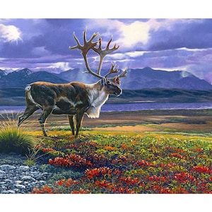 New Large CARIBOU in Field of FLOWERS Buck Antlers Doe Nature&#39;s Finest on this 100% Cotton Panel for quilts, crafts, wall hanging Style #1