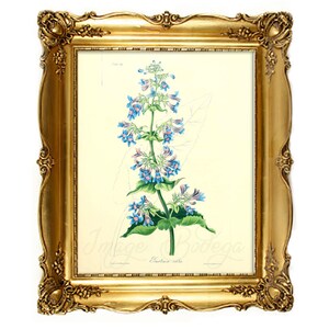 Vintage Floral digitale Bild. Florale Illustration mit blauen Blüten, botanische Bild für jeden Zweck verwenden Digital verwenden und druckbare