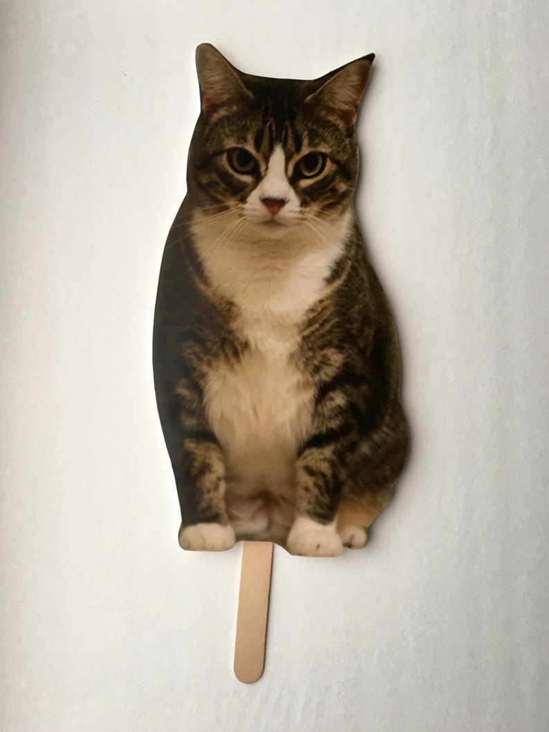 Pet Picture on Stick Wedding Photo Wedding Party Photo Pet Cat Photo Fun Photo -Picture on Stick Photo Booth Prop Wedding Favor