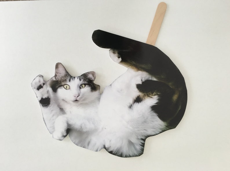 Pet Picture on Stick Wedding Photo Wedding Party Photo Pet Cat Photo Fun Photo -Picture on Stick Photo Booth Prop Wedding Favor
