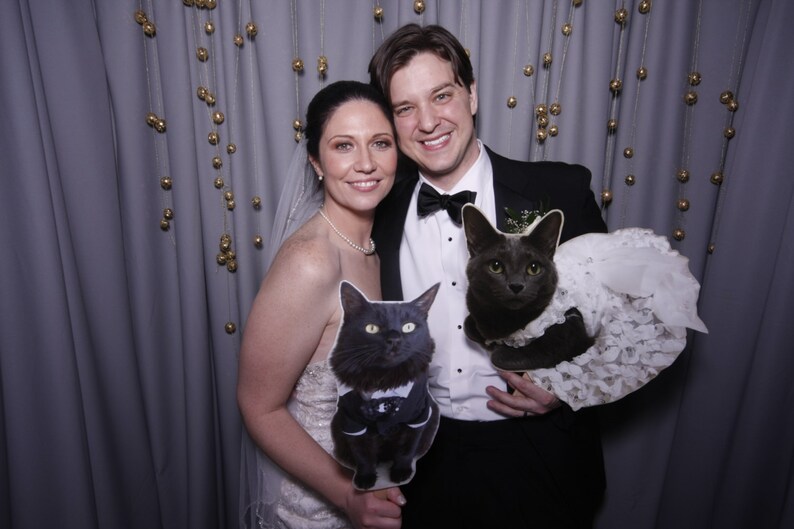 Pet Picture on Stick Wedding Photo Wedding Party Photo Pet Cat Photo Fun Photo -Picture on Stick Photo Booth Prop Wedding Favor