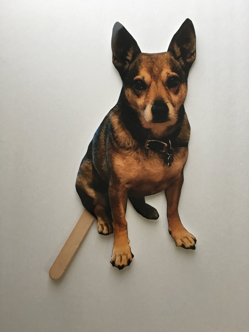 Picture on a Stick Dog Photo Booth Prop Photo Prop Etsy
