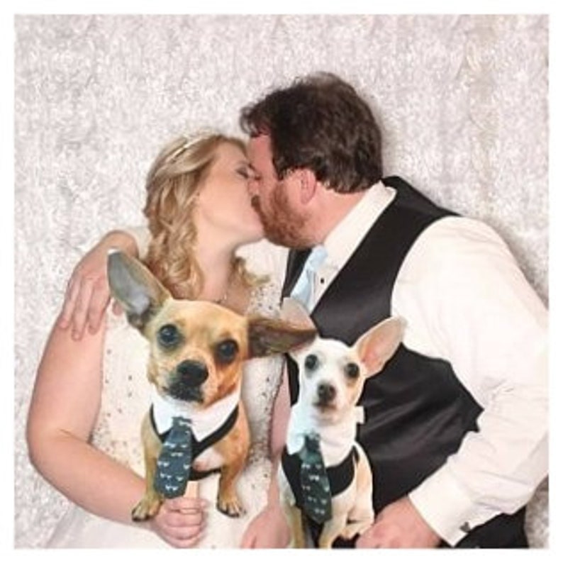 Pet Photo Prop Funny Big Head Photo Prop Cat Dog Picture on a Stick Photobooth Cat Dog Custom Photo Booth Prop Wedding Pet