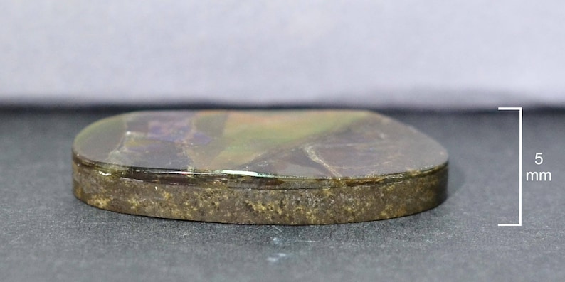Canandian Ammolite 25 x 10 mm Natural Flakes for Jewelry Making /& Wire Wrapping Loose Stone-SS1731 Marquis Shape Ammolite