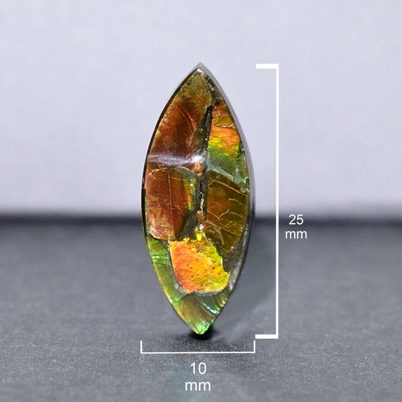 Canandian Ammolite 25 x 10 mm Natural Flakes for Jewelry Making /& Wire Wrapping Loose Stone-SS1731 Marquis Shape Ammolite