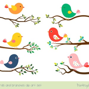Uccello sveglio insieme di clipart, clipart albero ramo, clipart primavera colorato uccello, Whimsical amore digitale birdie, matrimonio clipart estate, bambino kid