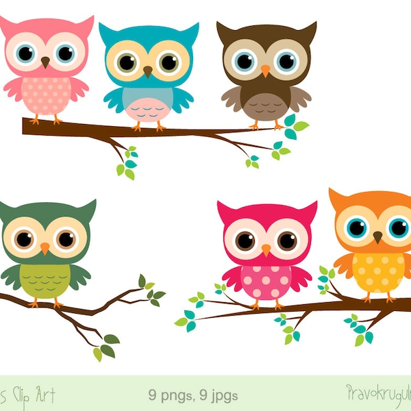 Baby owl clip art, Girl owl clipart, Rainbow owls on branches, Cute digital owl, Pink birthday owl clipart, Owl baby shower, commercial use