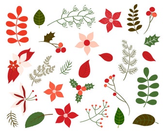 Christmas foliage clipart, Christmas flower clipart, Card making Christmas floral clipart, Winter graphics, Digital poinsettia clip art