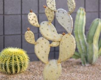 Prickly Pear Cactus Desert Landscaping, Zeroscaping, Xeriscape, Drought Resistant, No Maintenance, Yard Art, Sculpture- FREE Shipping