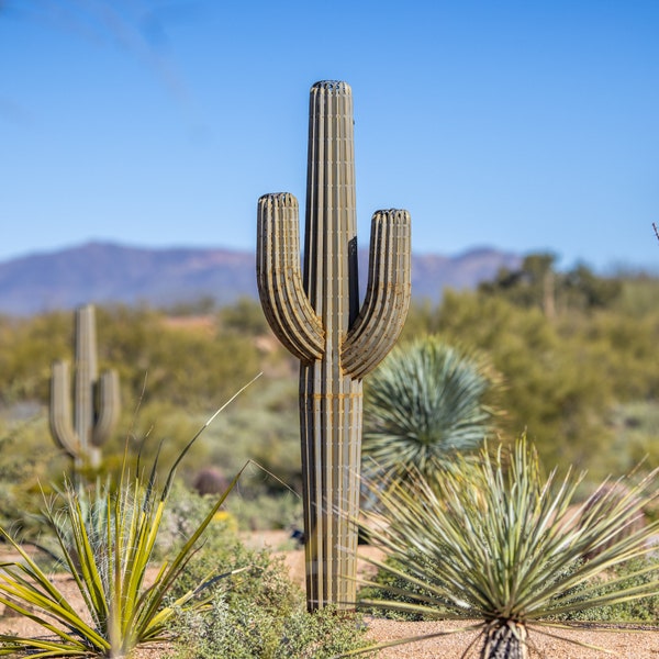 7 ft Saguaro Cactus Desert Landscaping, Zeroscaping, Xeriscape, Drought Resistant, No Maintenance, Yard Art, Sculpture