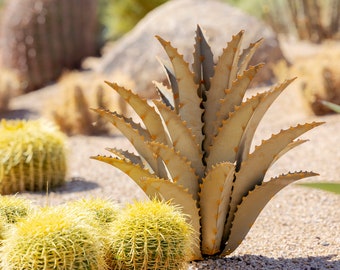 Sawtooth Agave Desert Landscaping, Zeroscaping, Xeriscape, Drought Resistant, No Maintenance, Yard Art, Sculpture- FREE Shipping