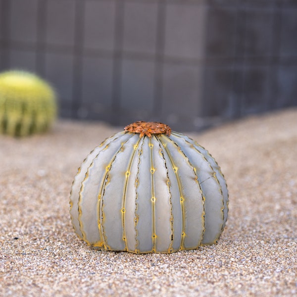Golden Barrel Cactus Torch: Patina Steel Desert Sculpture