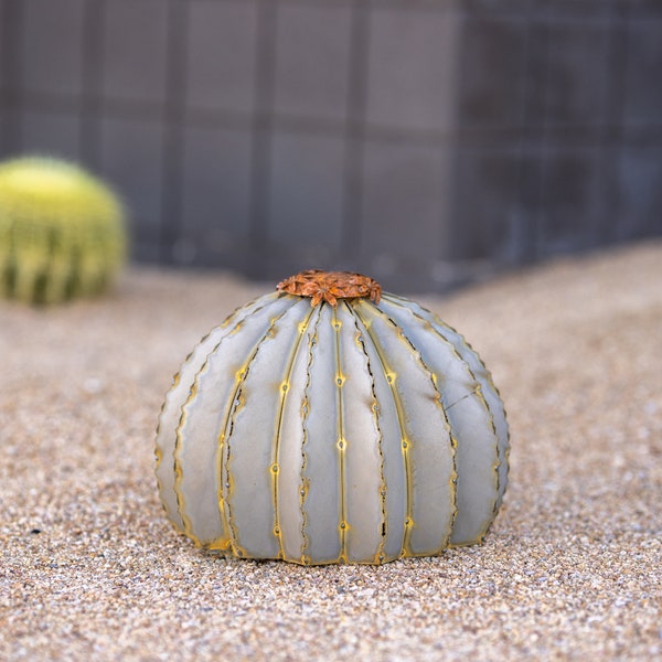 Golden Barrel Cactus Torch, Desert Landscaping, Zeroscaping, Xeriscape, Drought Resistant, No Maintenance, Yard Art, Sculpture-FREE Shipping