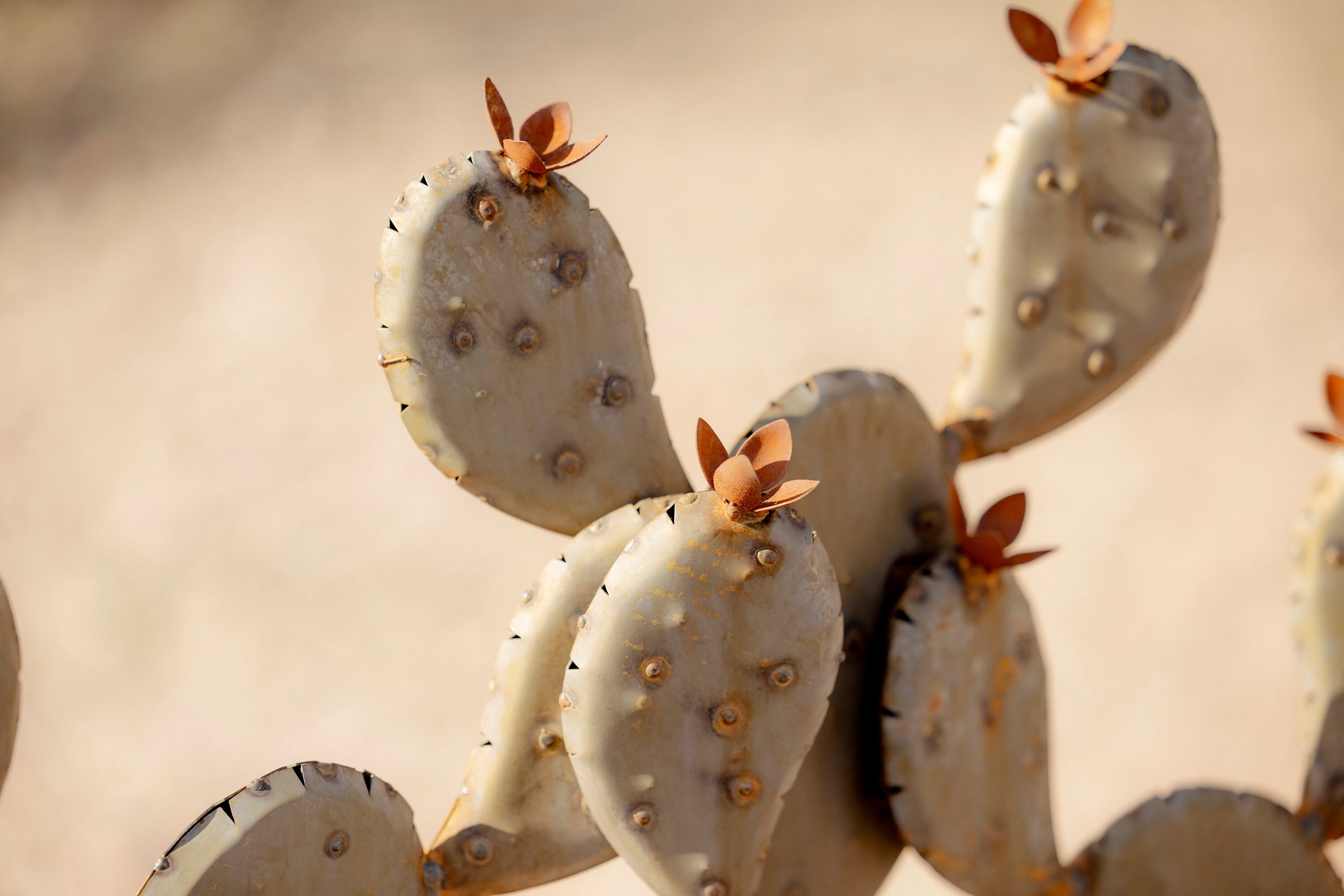 Steel Prickly Pear Cactus Garden Sculpture: Weatherproof Desert Art - Etsy  Israel