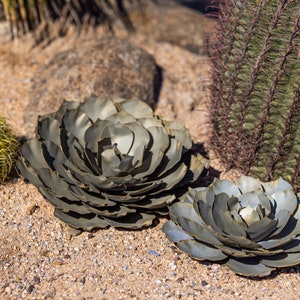 Blue Rose Succulent, Desert Landscaping, Zeroscape, Xeriscape, Yard Art, Made in USA, Landscape Sculpture, easy plants - FREE Shipping