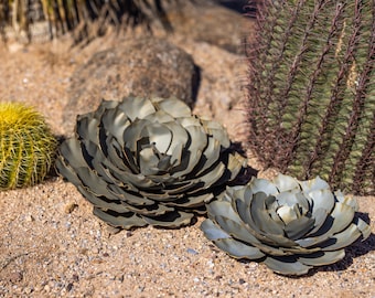 Blue Rose Succulent, Desert Landscaping, Zeroscape, Xeriscape, Yard Art, Made in USA, Landscape Sculpture, easy plants - FREE Shipping