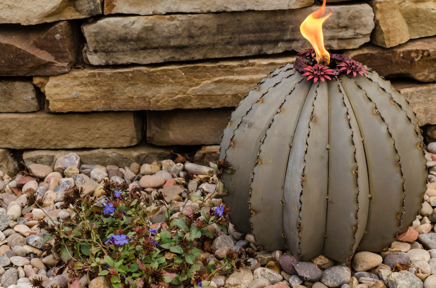 Golden Barrel Cactus Torch | Etsy