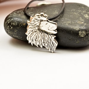 Sternzeichen Leo Sternzeichen Halskette, Sterling silber Leo Anhänger, astrologische Horoskop Anhänger rustikale Schmuck Leo Zeichen unisex mentallion