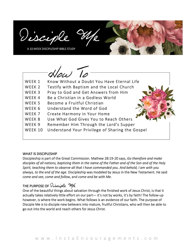 Disciple Me PDF download eBook image 3