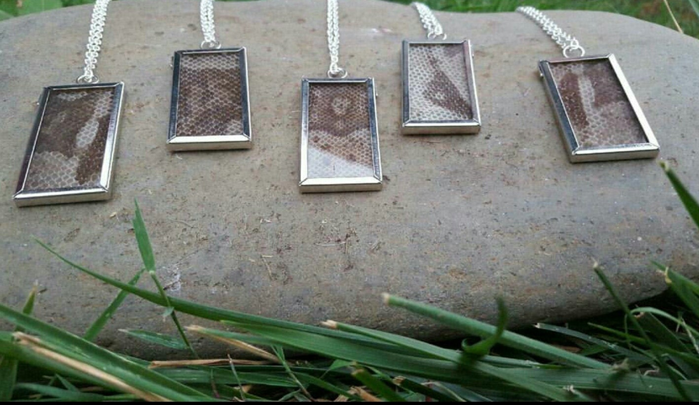 Snake Shed in Windowed Glass Pendant Necklace Snake Shed Etsy