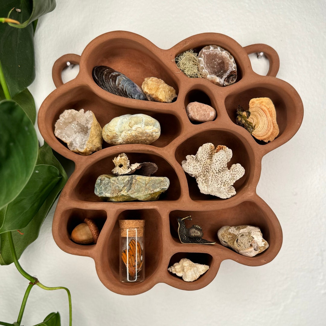 Knick Knack Shelf cement Shelf of Inspiration No. 2 in Brown: Curio ...