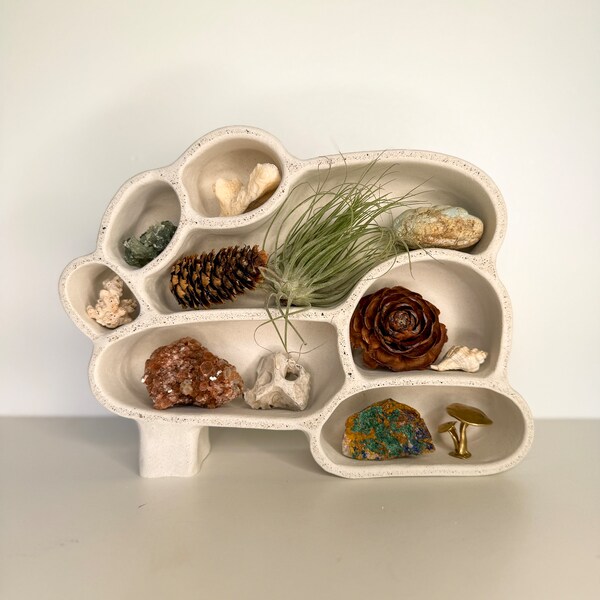 Cement Curio Shelf "Cave of Inspiration No. 1" in Stone: - Nature Shelf, Wall Display Case, Crystal Display, Knick Knack Shelf