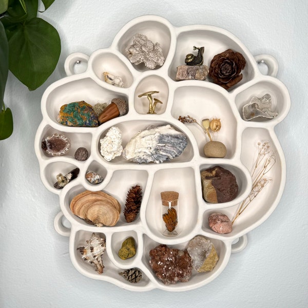 Trinket Shelf - Etsy