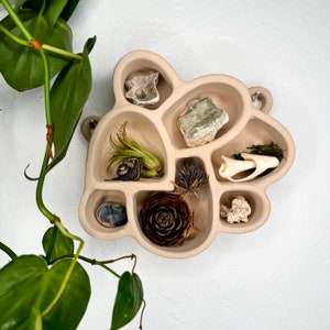 Nature Shelf "Cement Shelf of Inspiration No. 3" in Sand: - Curio Shelf, Wall Altar, Waldorf Decor, Crystal Display