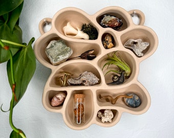 Knick Knack Shelf in Sand - Curio Shelf, Wall Altar, Niche Nature Shelf, Waldorf Decor
