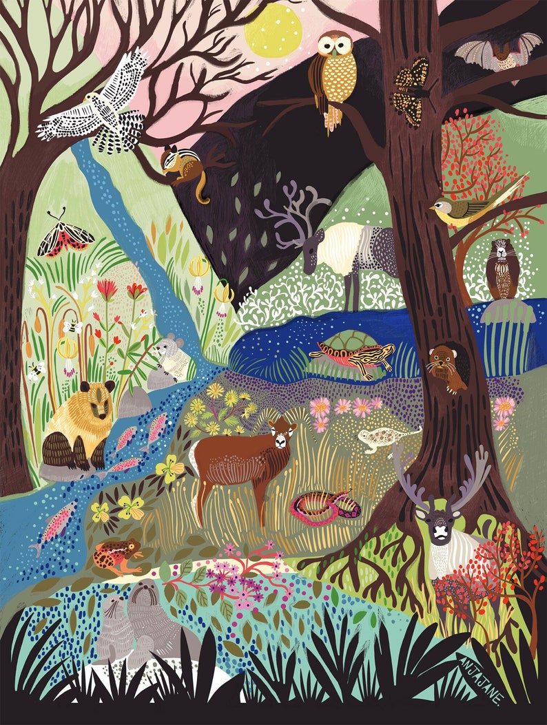 K&ouml;nnte beinhalten: Eine farbenfrohe Illustration eines vielf&auml;ltigen Wald&ouml;kosystems mit einem zentralen Bach, verschiedenen Tieren wie einem Hirsch, einer Eule, einer Schildkr&ouml;te und einer Robbe, umgeben von B&auml;umen, Blumen und einem gelben Mond. Die Signatur Anjajane ist sichtbar.