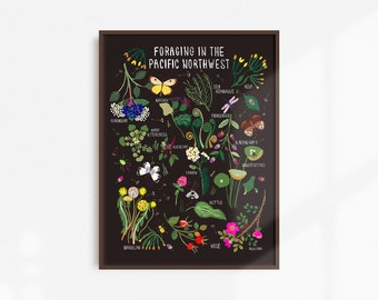 Foraging Plants of the Pacific Northwest Wall Art | Forage Wild Plants Poster | Plant Home Decor | Natural History Poster | Flora Art Print