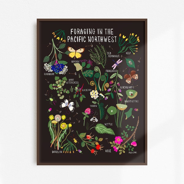 Foraging Plants of the Pacific Northwest Wall Art | Forage Wild Plants Poster | Plant Home Decor | Natural History Poster | Flora Art Print