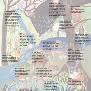K&ouml;nnte beinhalten: Ein detailliertes Lehrplakat mit verschiedenen Tierarten, darunter ein Habicht, ein Fleckenkauz, ein Pfeifhase, ein Dickhornschaf und ein Karibu. Die Illustration enth&auml;lt beschreibende Texte zu jedem Tier und jeder Pflanze vor einer Wald- und Flusslandschaft in sanften Gr&uuml;n-, Blau- und Rosat&ouml;nen.