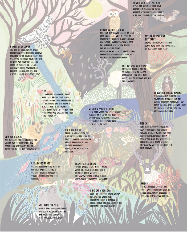 K&ouml;nnte beinhalten: Ein detailliertes Lehrplakat mit verschiedenen Tierarten, darunter ein Habicht, ein Fleckenkauz, ein Pfeifhase, ein Dickhornschaf und ein Karibu. Die Illustration enth&auml;lt beschreibende Texte zu jedem Tier und jeder Pflanze vor einer Wald- und Flusslandschaft in sanften Gr&uuml;n-, Blau- und Rosat&ouml;nen.