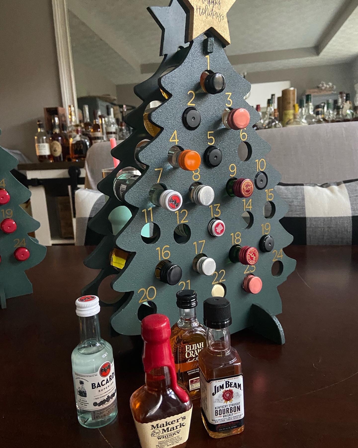Mini Liquor Bottle Advent Calendar All Fireball or Variety Adult