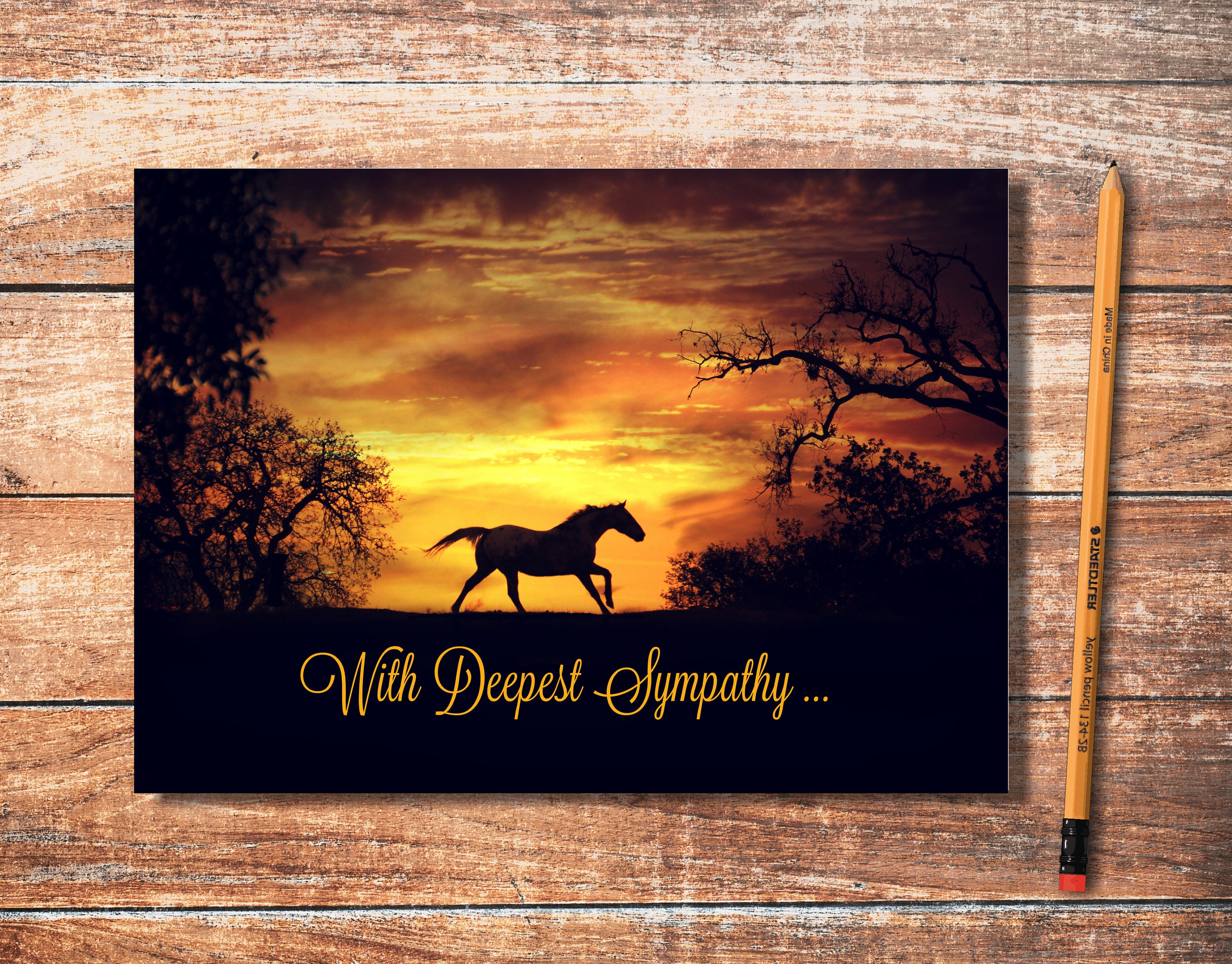 Horse Owner Condolence Horse Sympathy Card Sympathy Cards Etsy