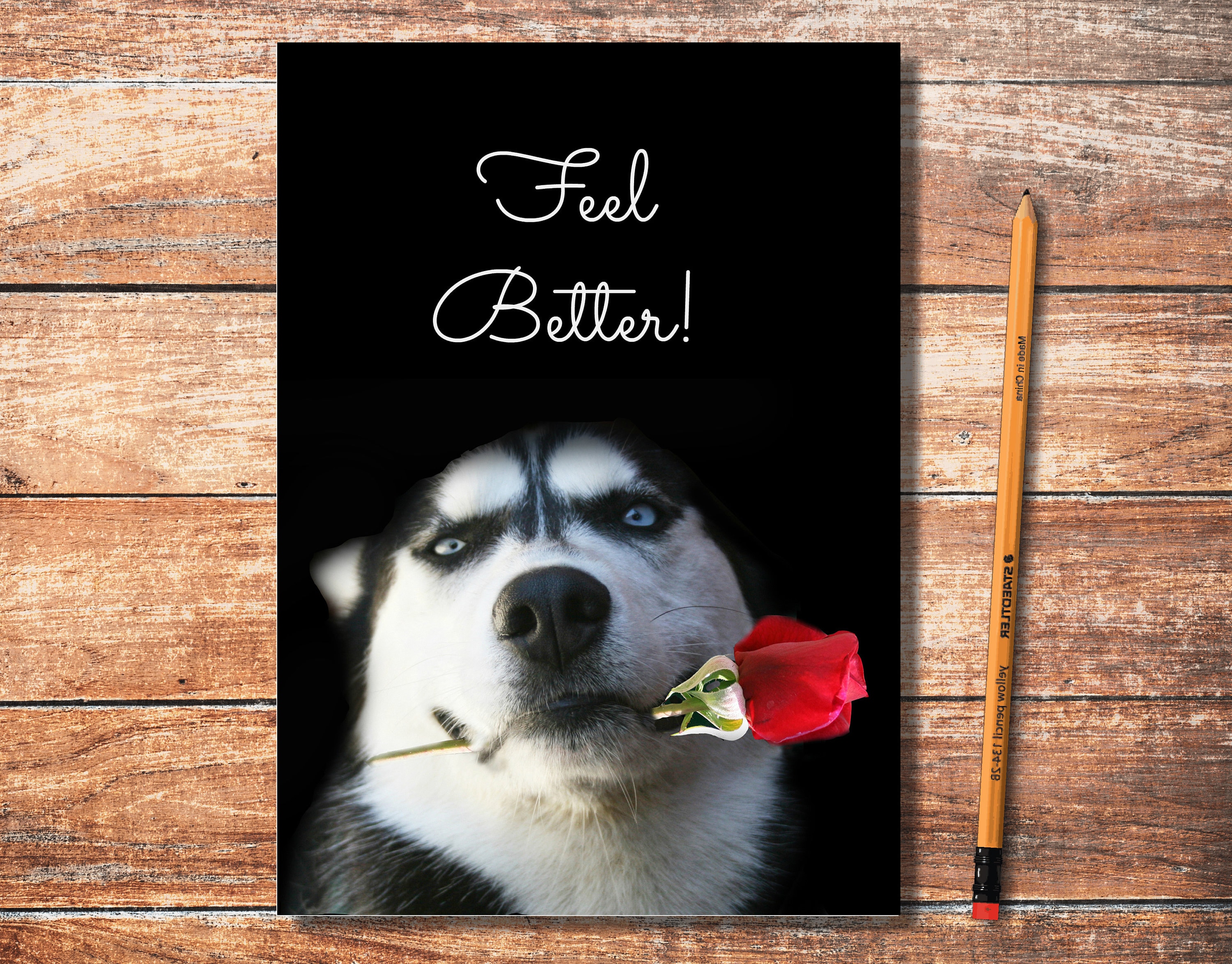 Get Well Card Cute Dog Feel Better Husky and Rose Pretty | Etsy