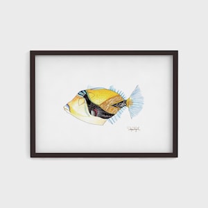 Hawaiian Triggerfish Watercolor Print | Humuhumunukunukuapua&#39;a Art | Tropical Reef Fish Decor