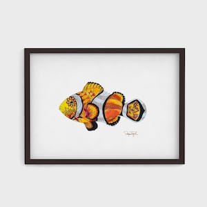 Clownfish Watercolor Print | Tropical Reef Fish Art | Ocean Wall Decor